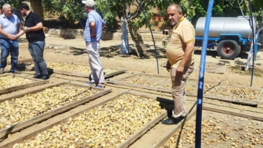 Aydın'da kuru incir rekoltesi değerlendirme toplantısı yapıldı
