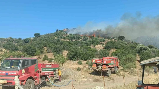 Aydın'da makilik alandaki yangın kontrol altına alındı