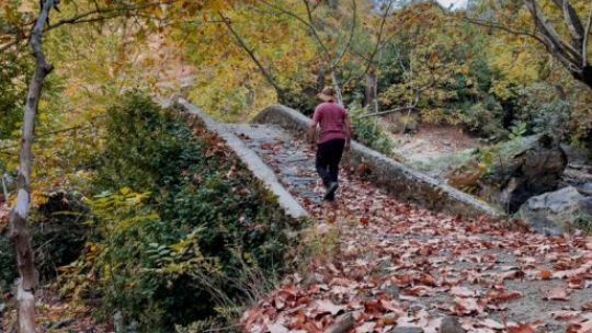 Aydın'da masalsı sonbahar ve kış manzaraları