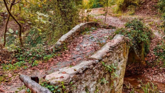 Aydın'da masalsı sonbahar ve kış manzaraları