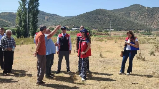 Aydın'da mera ıslah projeleri sürüyor