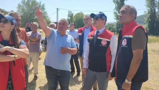 Aydın'da mera ıslah projeleri sürüyor