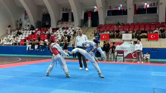 Aydın'da Minikler Taekwondo Şampiyonası İl Seçmeleri gerçekleştirildi
