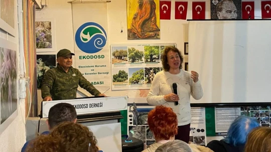 Aydın'da ölmez ağaç konuşuldu