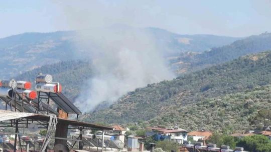 Aydın'da orman yangını