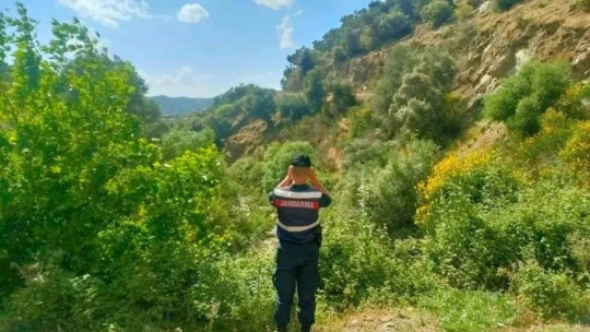 Aydın'da orman yangınlarına karşı yoğun tedbirler alınıyor