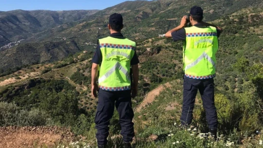 Aydın'da orman yangınlarına karşı yoğun tedbirler alınıyor