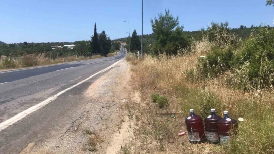 Aydın'da orman yangınlarına karşı yeni tedbir alındı