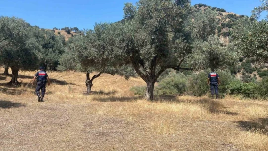 Aydın'da orman yangınlarına karşı sıkı tedbir