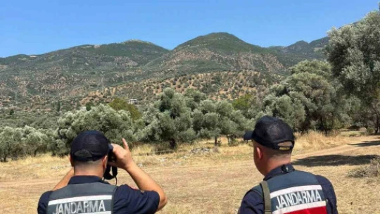 Aydın'da orman yangınlarına karşı sıkı tedbir
