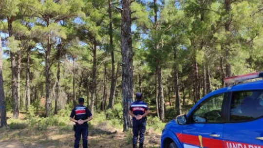 Aydın'da orman yangınlarına karşı sıkı tedbir