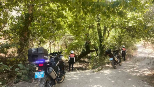 Aydın'da ormanlar jandarma gözetiminde