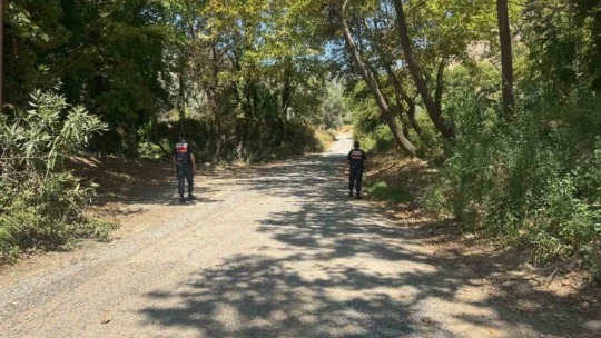 Aydın'da ormanlar jandarma gözetiminde