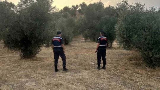 Aydın'da ormanlar jandarma gözetiminde