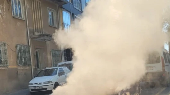 Aydın'da otomobil yangını