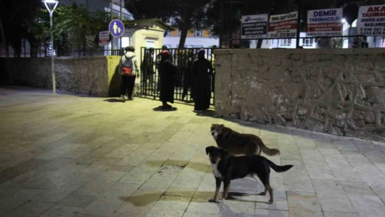 Aydın'da sabah namazından önce başlayan eğitime öğrenciler ve veliler isyan etti, okul görevlisi küfürler savurdu