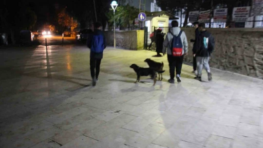 Aydın'da sabah namazından önce başlayan eğitime öğrenciler ve veliler isyan etti, okul görevlisi küfürler savurdu