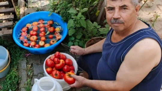 Aydın'da salça yapım telaşı başladı