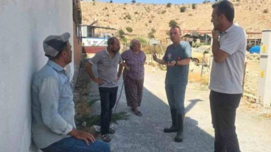 Aydın'da şap hastalığına karşı aşılama çalışmaları sürüyor