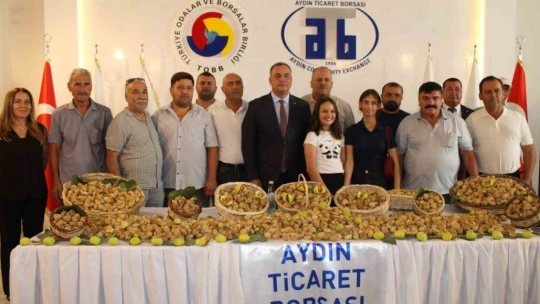 Aydın'da sezonun ilk kuru inciri 800 liradan satıldı