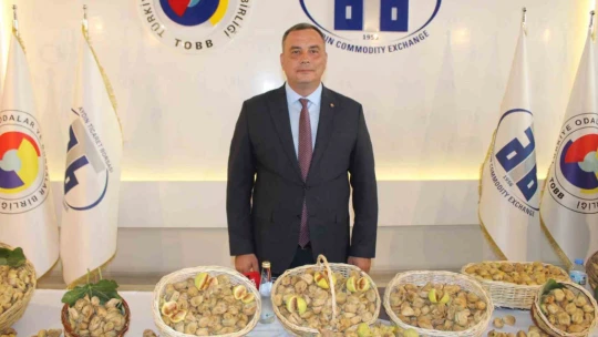 Aydın'da sezonun ilk kuru inciri 800 liradan satıldı