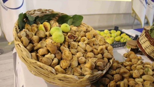 Aydın'da sezonun ilk kuru inciri 800 liradan satıldı