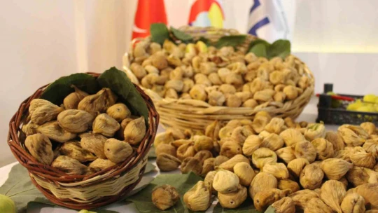 Aydın'da sezonun ilk kuru inciri 800 liradan satıldı