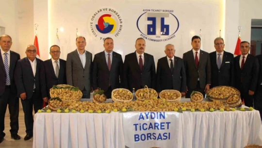 Aydın'da sezonun ilk kuru inciri 800 liradan satıldı