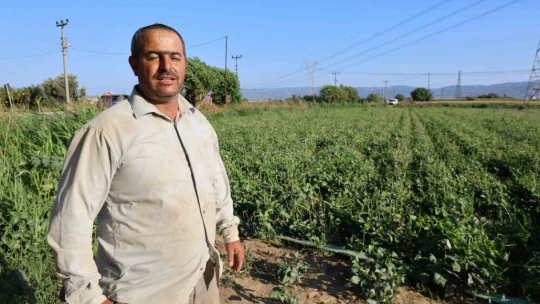 Aydın'da su kıtlığı çiftçilerin mesai saatlerini değiştirdi