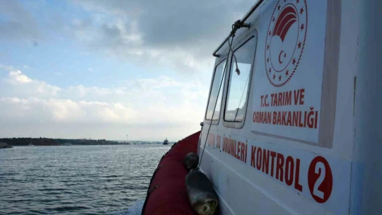 Aydın'da su ürünleri denetiminde 189 bin lira ceza uygulandı