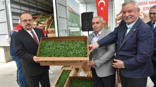 Aydın'da TAKE Projeleri kapsamında çiftçilere fide ve tohum dağıtıldı
