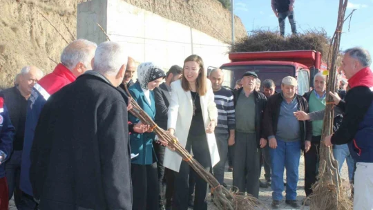 Aydın'da tarımsal üretime destek