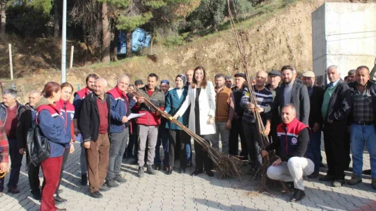 Aydın'da tarımsal üretime destek