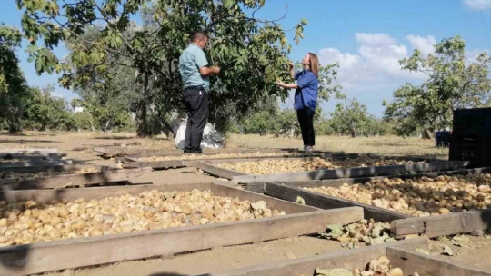 Aydın'da üreticiler bakanlık yetkilileri ile bir araya geldi