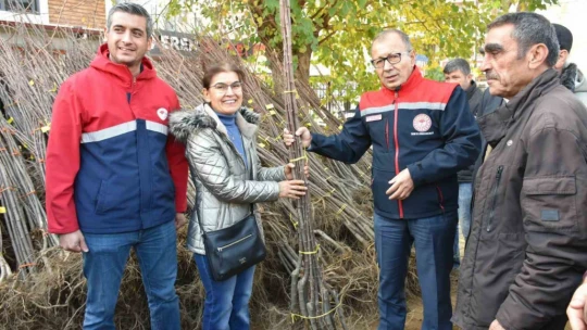 Aydın'da üreticilere fidan desteği