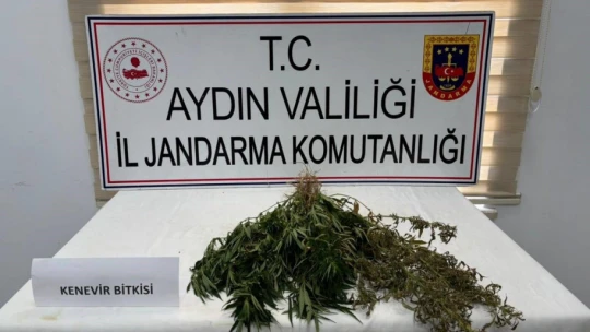 Aydın'da uyuşturucu operasyonu: 13 şüpheli yakalandı