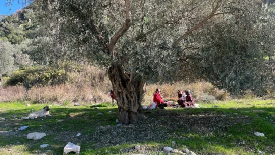 Aydın'da vatandaşlar piknik alanlarına akın etti