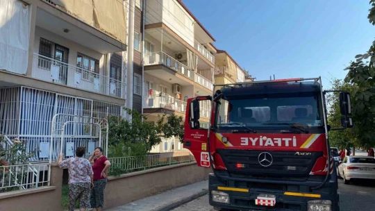 Aydın'da yangın paniği