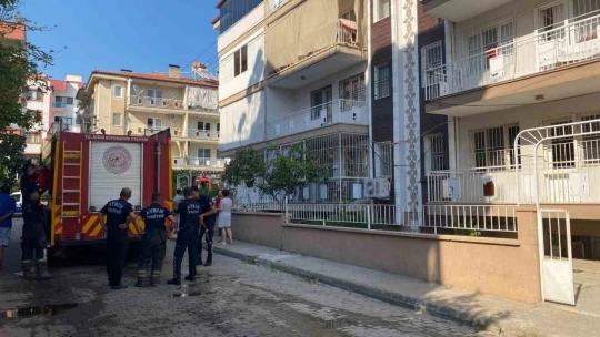 Aydın'da yangın paniği