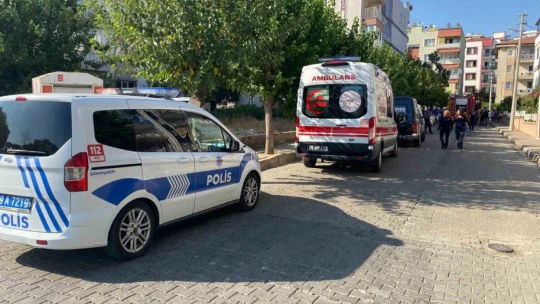 Aydın'da yangın paniği
