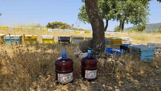Aydın'da yangınlara ilk müdahale için damacana çözümü