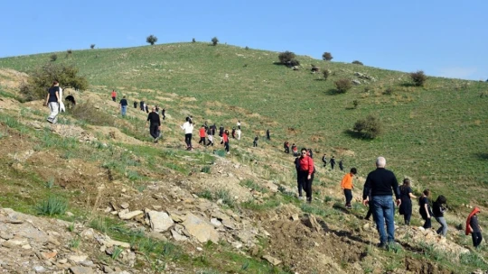 Aydın'da yürütülen proje kapsamında fıstık çamı ve akasya ağacı dikimi yapıldı