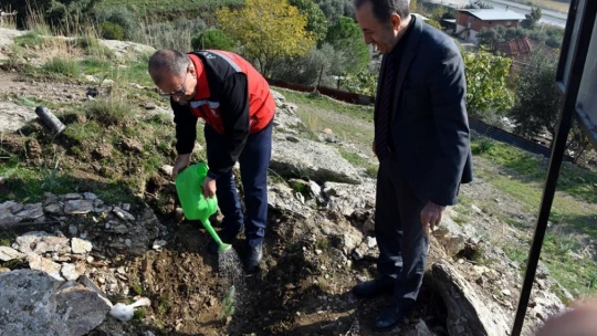 Aydın'da yürütülen proje kapsamında fıstık çamı ve akasya ağacı dikimi yapıldı