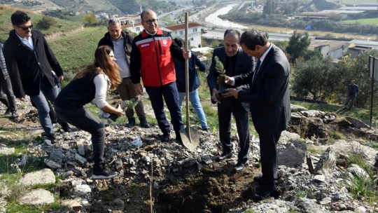 Aydın'da yürütülen proje kapsamında fıstık çamı ve akasya ağacı dikimi yapıldı