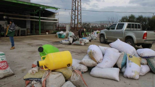Aydın'da zeytinin yağa dönüşüm yolculuğu başladı