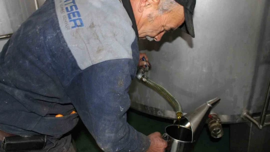 Aydın'da zeytinyağı sıkım sezonu erken bitti