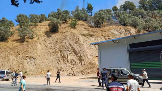 Aydın'da zirai alan yangını