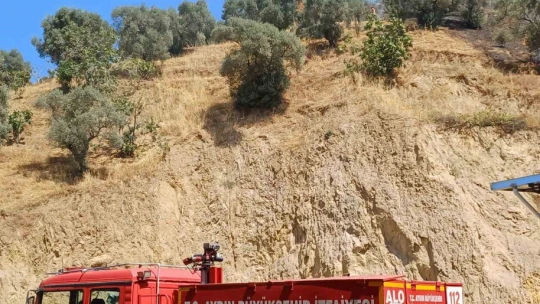 Aydın'da zirai alan yangını