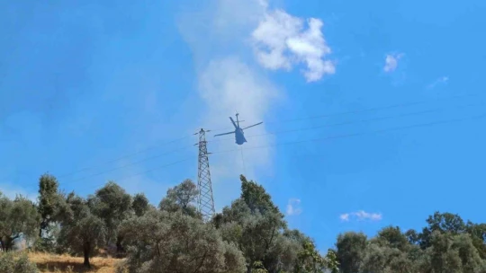 Aydın'da zirai alan yangını