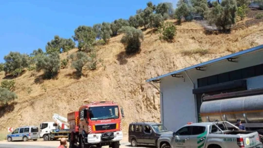 Aydın'da zirai alan yangını